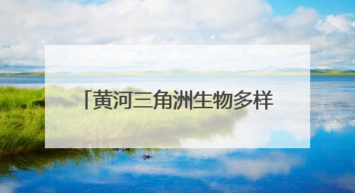 黄河三角洲生物多样性系列报道②飞羽翩跹处 和美共生时