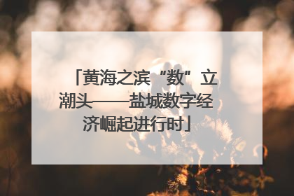 黄海之滨“数”立潮头——盐城数字经济崛起进行时