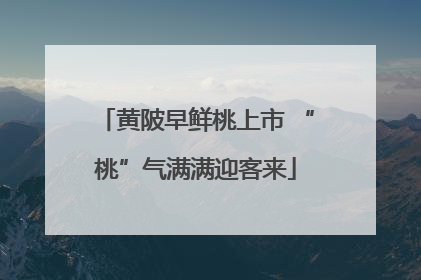 黄陂早鲜桃上市 “桃”气满满迎客来