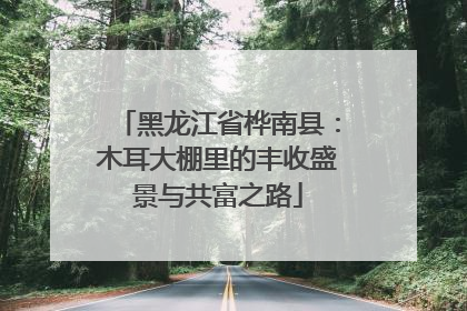 黑龙江省桦南县：木耳大棚里的丰收盛景与共富之路