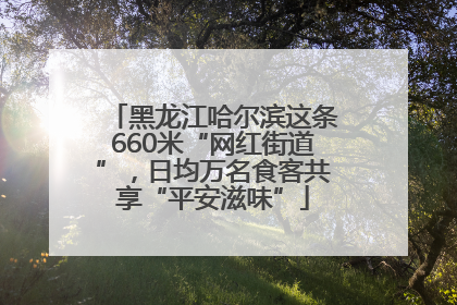 黑龙江哈尔滨这条660米“网红街道”，日均万名食客共享“平安滋味”