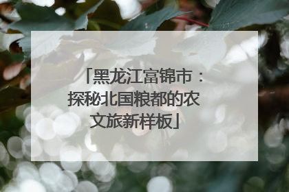 黑龙江富锦市：探秘北国粮都的农文旅新样板