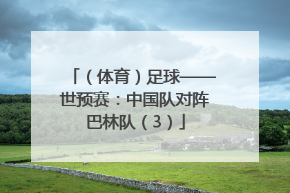 （体育）足球——世预赛：中国队对阵巴林队（3）