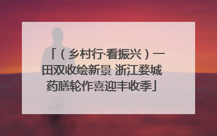 （乡村行·看振兴）一田双收绘新景 浙江婺城药膳轮作喜迎丰收季