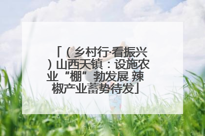 （乡村行·看振兴）山西天镇：设施农业“棚”勃发展 辣椒产业蓄势待发