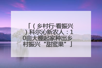 （乡村行·看振兴）科尔沁新农人：10亩大棚起家种出乡村振兴“甜蜜果”