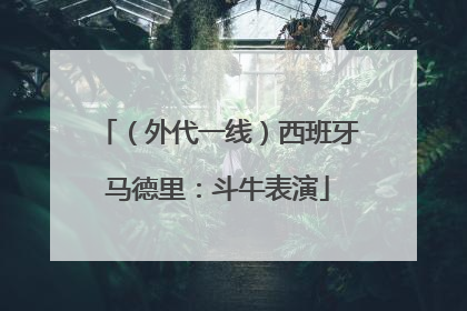（外代一线）西班牙马德里：斗牛表演