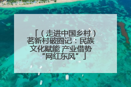 （走进中国乡村）茗新村破圈记：民族文化赋能 产业借势 “网红东风”