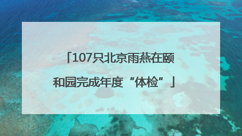 107只北京雨燕在颐和园完成年度“体检”