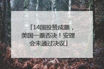 14国投赞成票，美国一票否决！安理会未通过决议