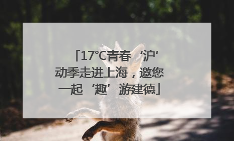 17℃青春‘沪’动季走进上海，邀您一起‘趣’游建德
