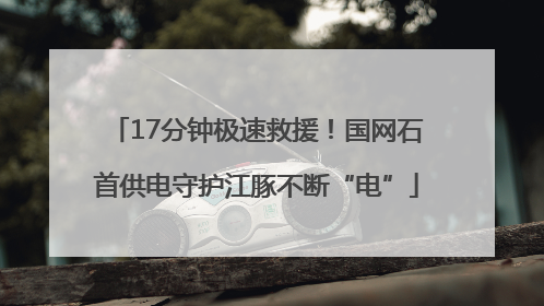 17分钟极速救援！国网石首供电守护江豚不断“电”