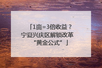 1亩=3倍收益？宁夏兴庆区解锁改革“黄金公式”