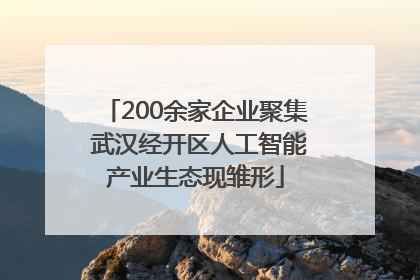 200余家企业聚集 武汉经开区人工智能产业生态现雏形