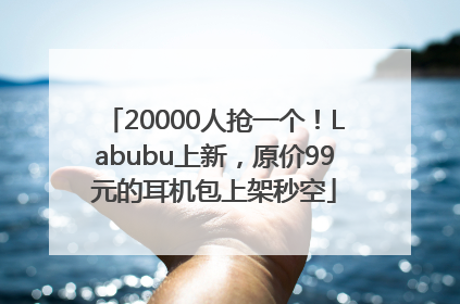 20000人抢一个！Labubu上新，原价99元的耳机包上架秒空