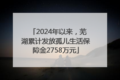 2024年以来，芜湖累计发放孤儿生活保障金2758万元