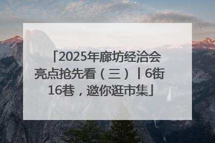 2025年廊坊经洽会亮点抢先看（三）丨6街16巷，邀你逛市集