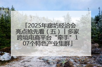 2025年廊坊经洽会亮点抢先看（五）丨多家跨境电商平台“牵手”107个特色产业集群