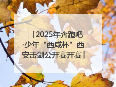 2025年奔跑吧·少年“西咸杯”西安击剑公开赛开赛