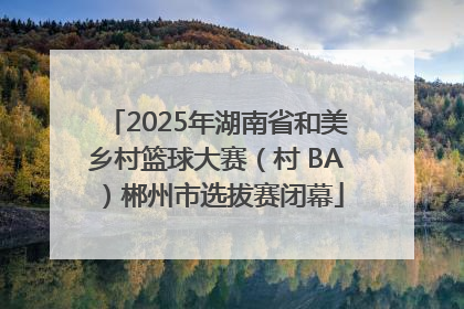 2025年湖南省和美乡村篮球大赛（村 BA）郴州市选拔赛闭幕