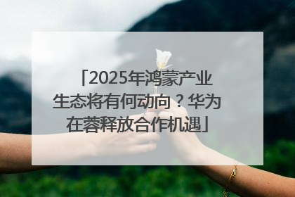 2025年鸿蒙产业生态将有何动向？华为在蓉释放合作机遇
