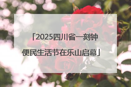 2025四川省一刻钟便民生活节在乐山启幕