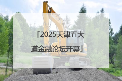 2025天津五大道金融论坛开幕
