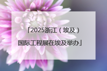 2025浙江（埃及）国际工程展在埃及举办