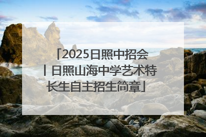 2025日照中招会丨日照山海中学艺术特长生自主招生简章