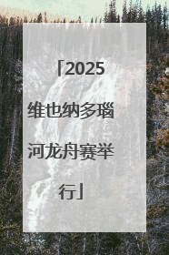 2025维也纳多瑙河龙舟赛举行