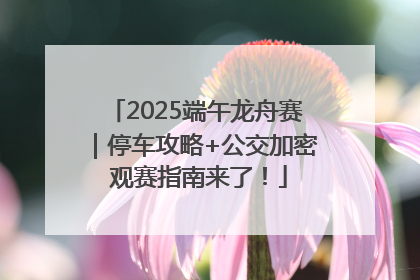 2025端午龙舟赛｜停车攻略+公交加密 观赛指南来了！