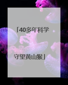 40多年科学守望黄山猴