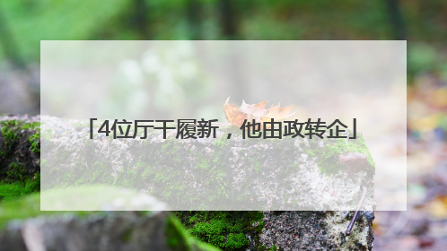 4位厅干履新，他由政转企