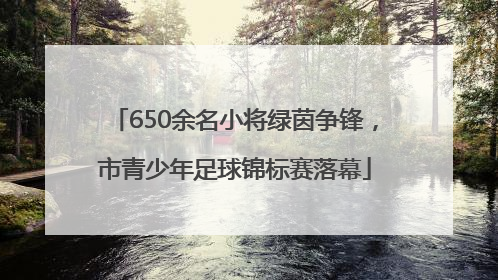 650余名小将绿茵争锋，市青少年足球锦标赛落幕
