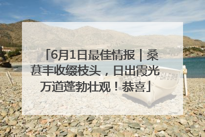 6月1日最佳情报｜桑葚丰收缀枝头，日出霞光万道蓬勃壮观！恭喜