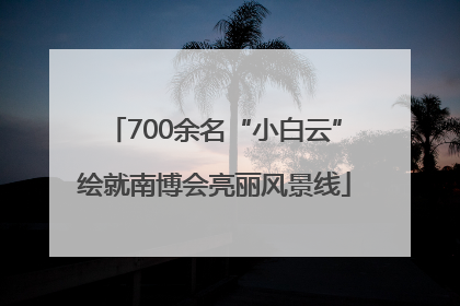 700余名“小白云”绘就南博会亮丽风景线