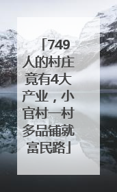 749人的村庄竟有4大产业，小官村一村多品铺就富民路
