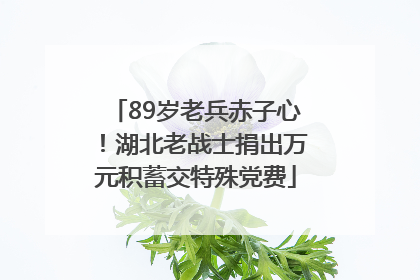 89岁老兵赤子心！湖北老战士捐出万元积蓄交特殊党费
