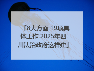 8大方面 19项具体工作 2025年四川法治政府这样建