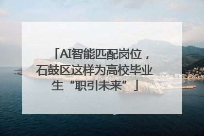 AI智能匹配岗位，石鼓区这样为高校毕业生“职引未来”