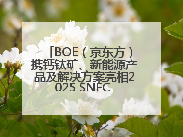 BOE（京东方）携钙钛矿、新能源产品及解决方案亮相2025 SNEC 科技创新赋能行业绿色发展