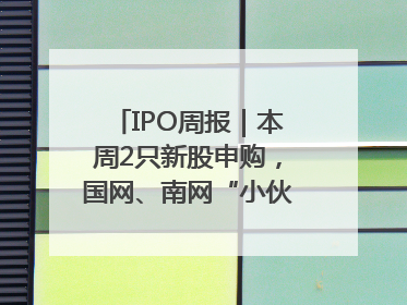 IPO周报｜本周2只新股申购，国网、南网“小伙伴”来了