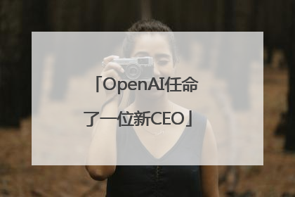 OpenAI任命了一位新CEO