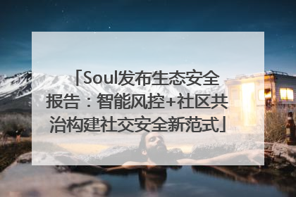 Soul发布生态安全报告：智能风控+社区共治构建社交安全新范式